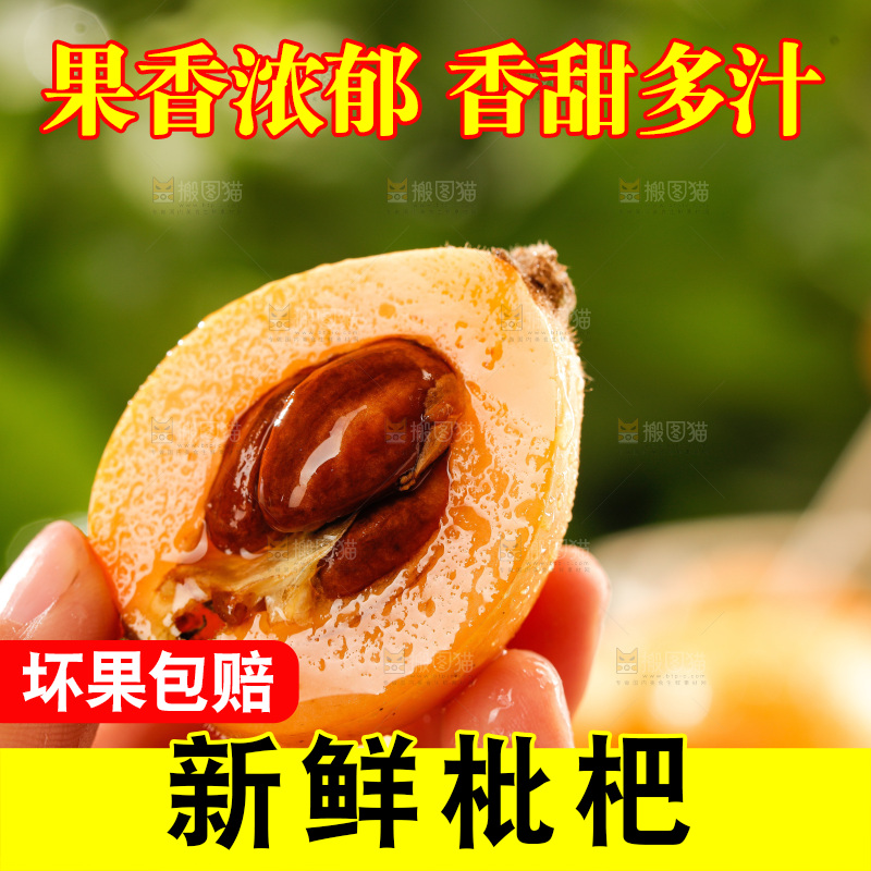 枇杷
