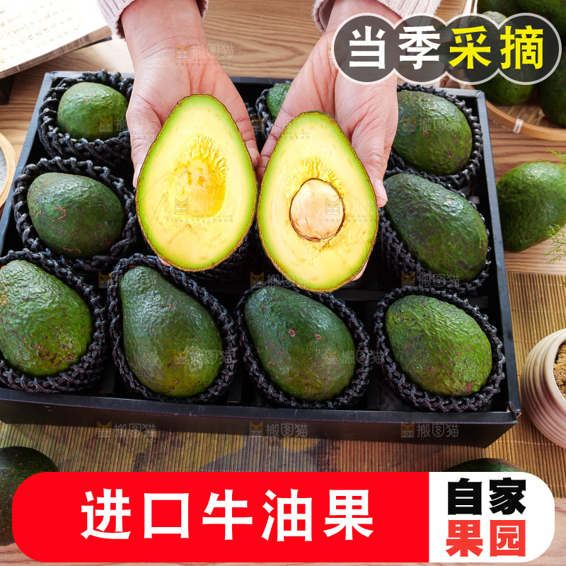 牛油果