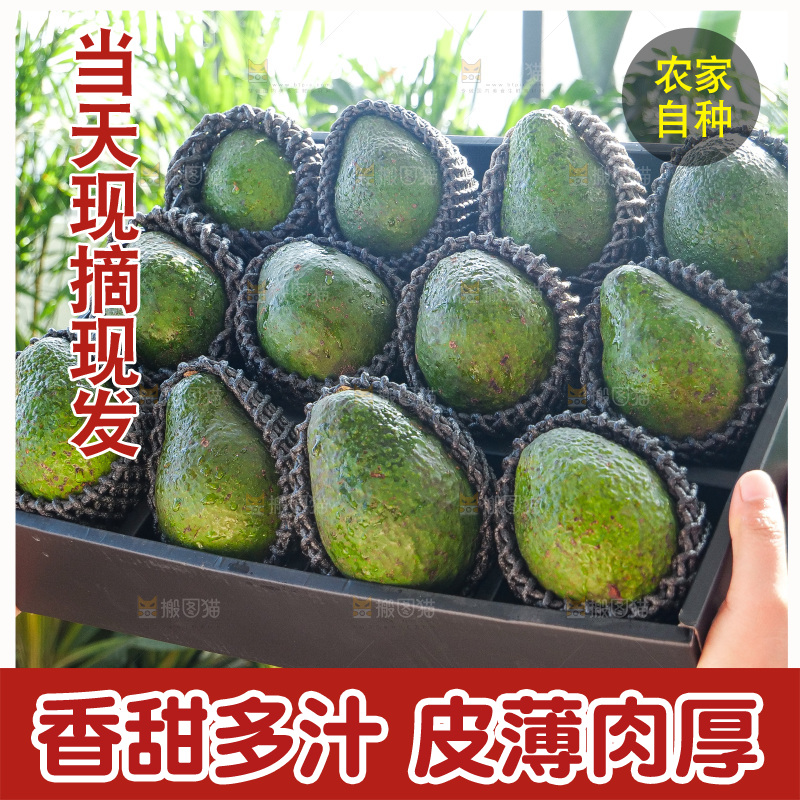 牛油果