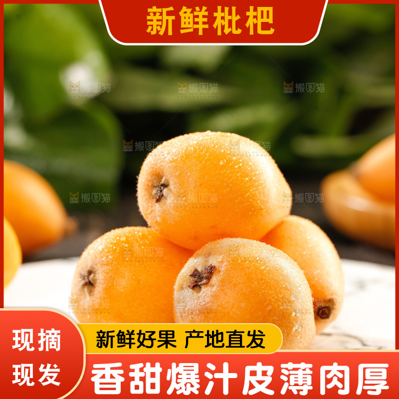 枇杷
