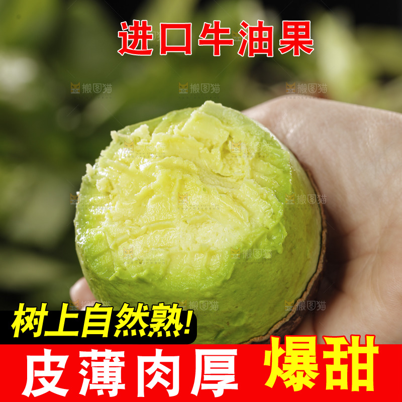 牛油果
