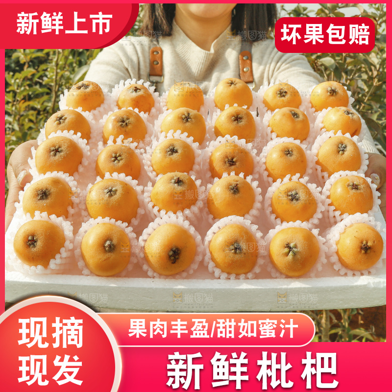 枇杷