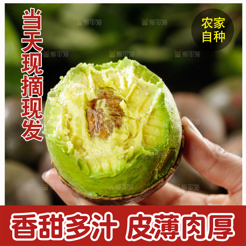 牛油果