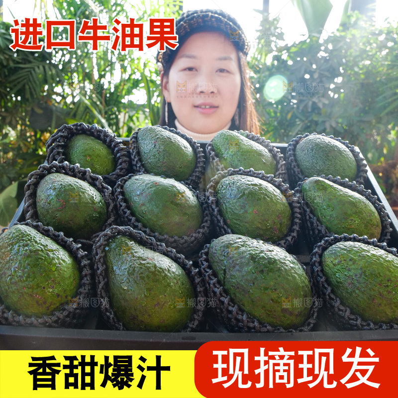 牛油果