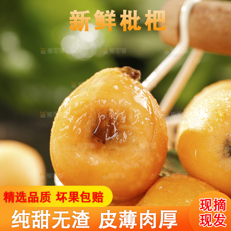 枇杷