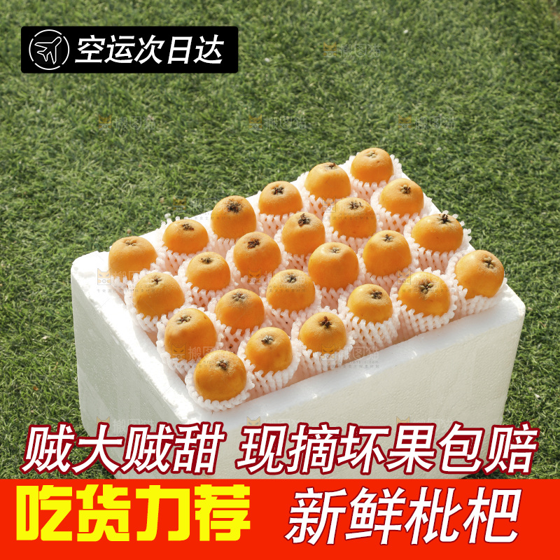 枇杷