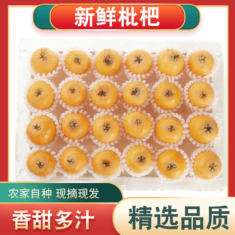 枇杷