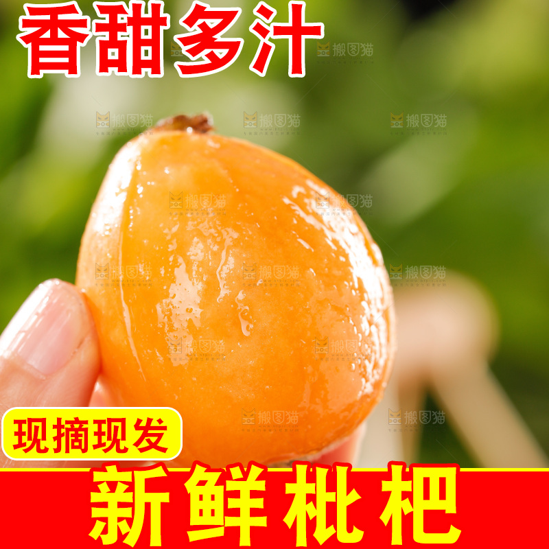 枇杷