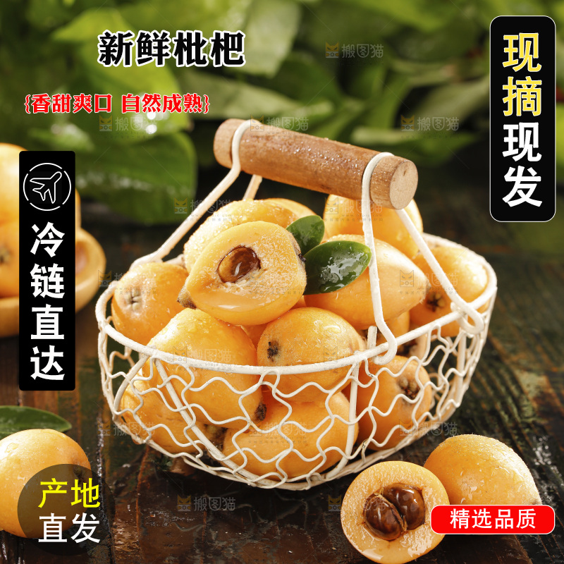 枇杷