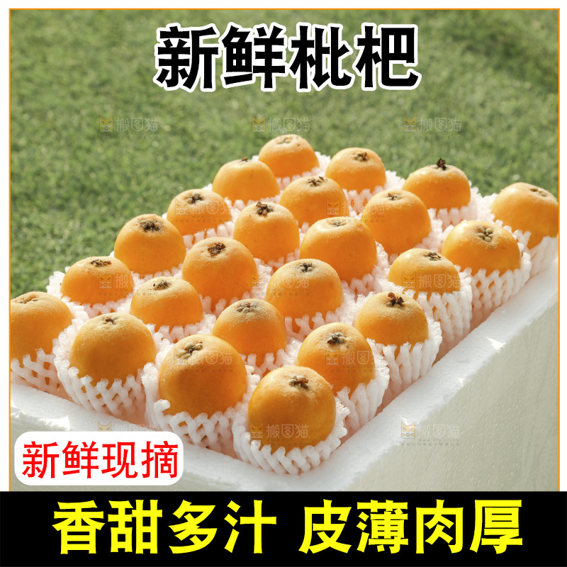 枇杷