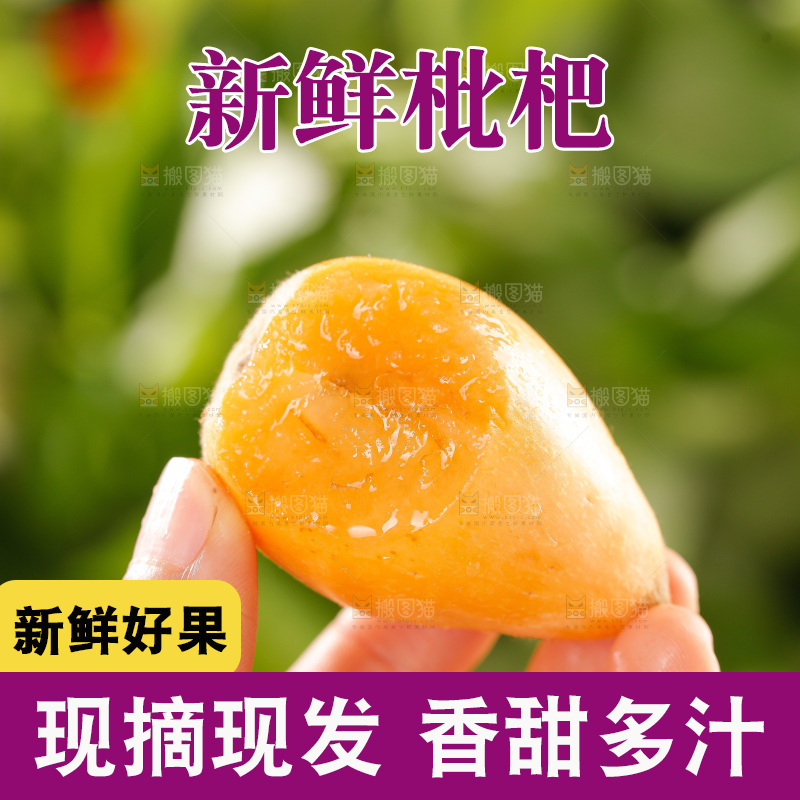 枇杷