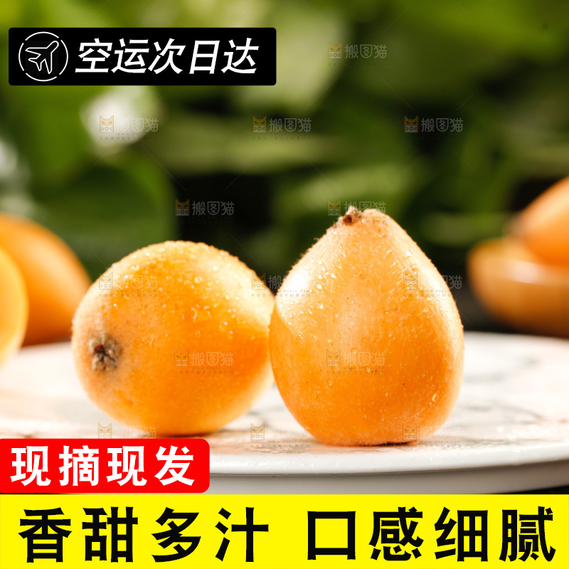 枇杷