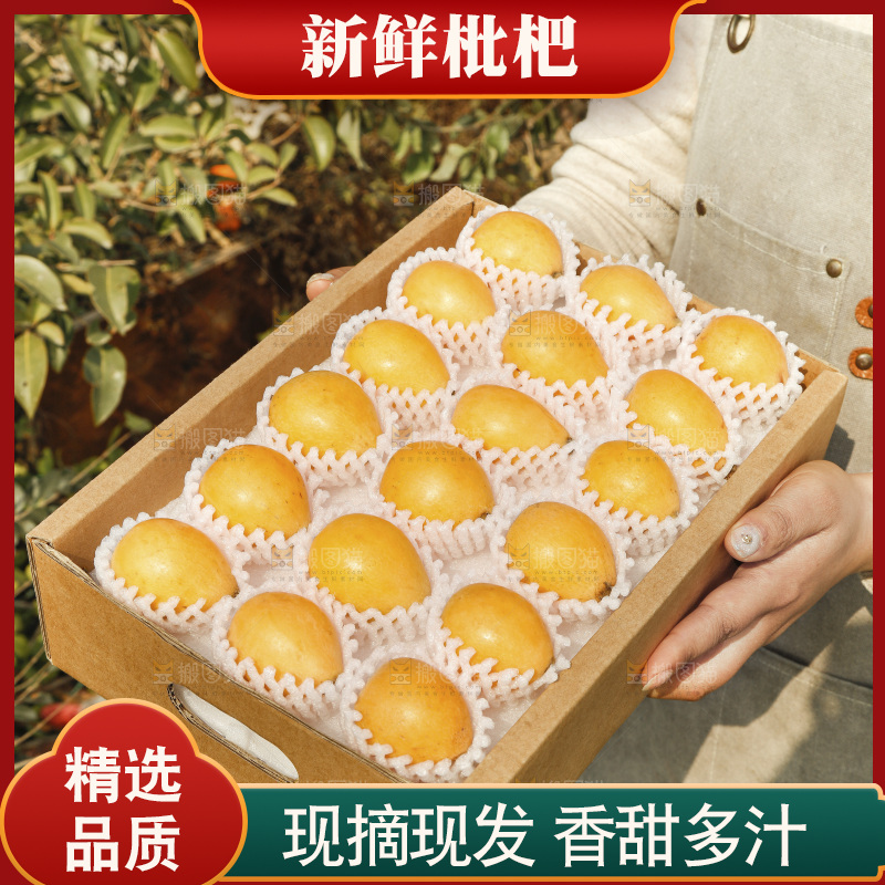 枇杷