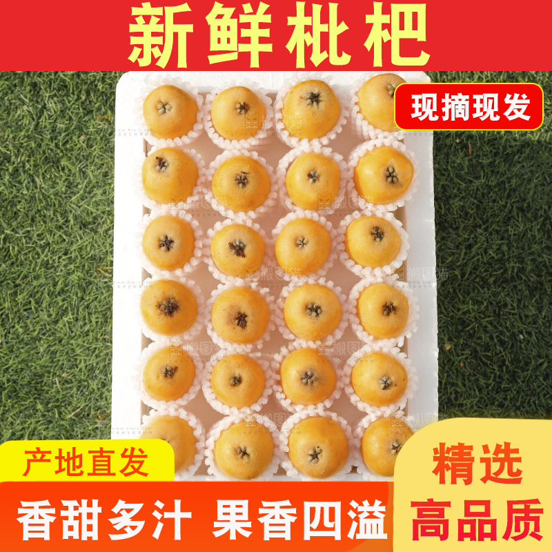 枇杷