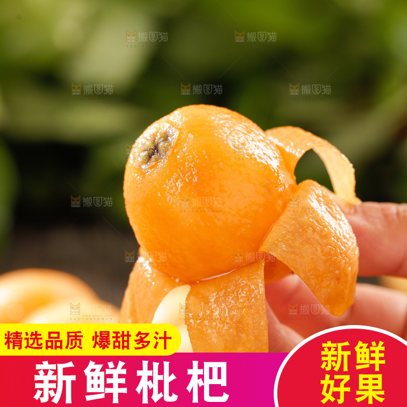 枇杷