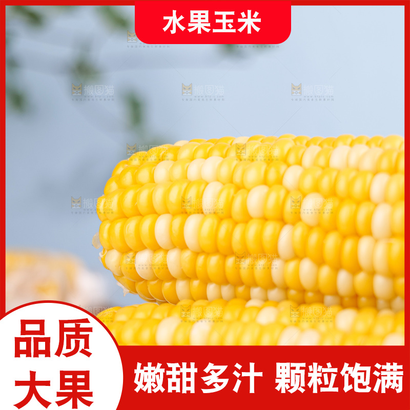 金银水果玉米