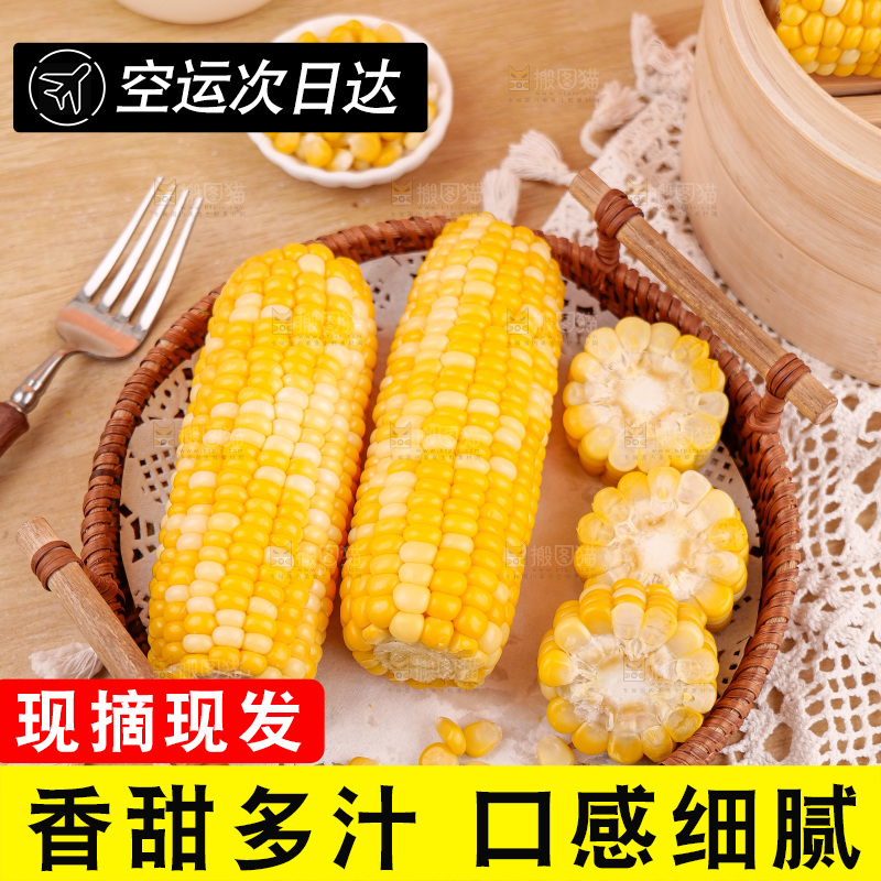 金银水果玉米
