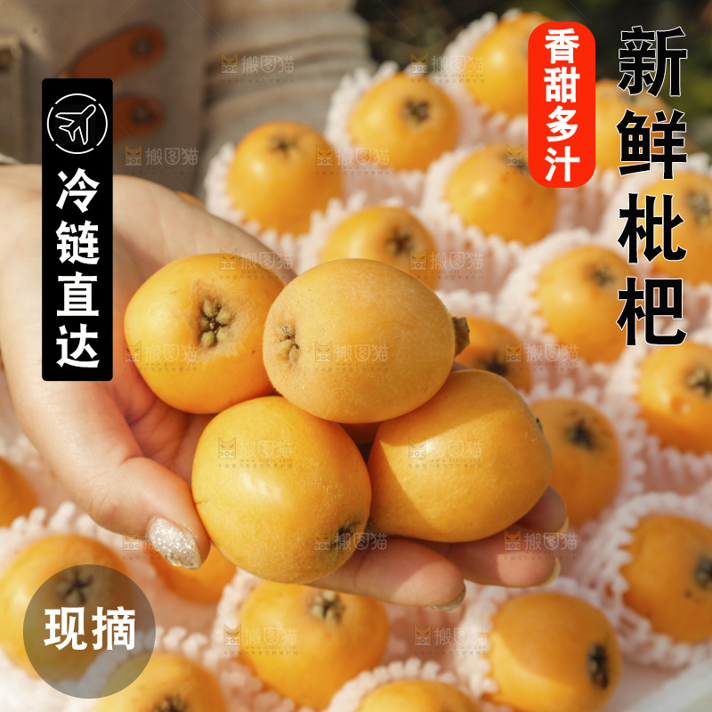 枇杷