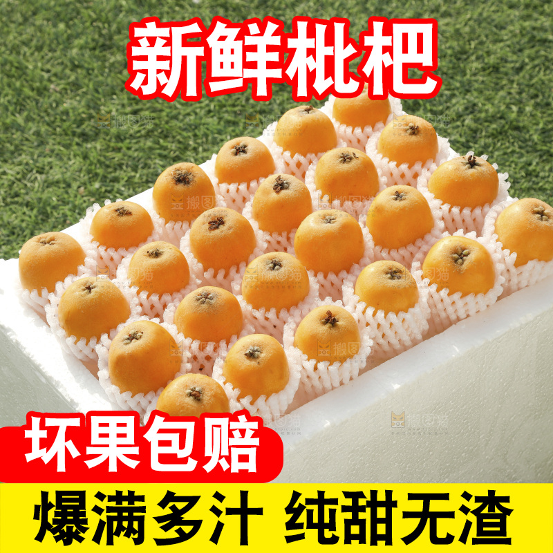 枇杷