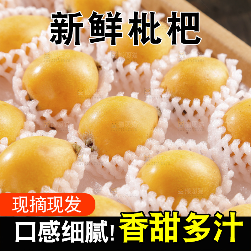 枇杷