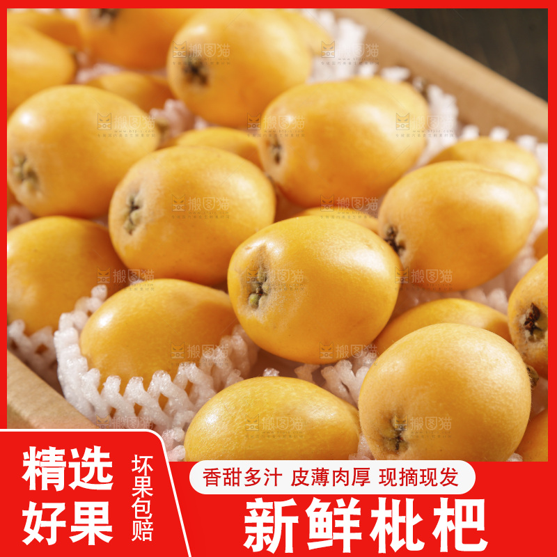 枇杷