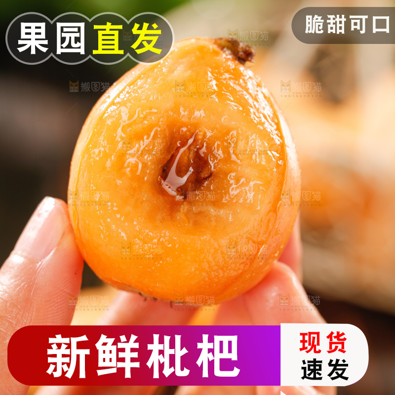 枇杷