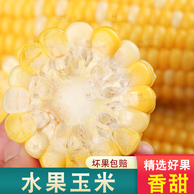 水果玉米