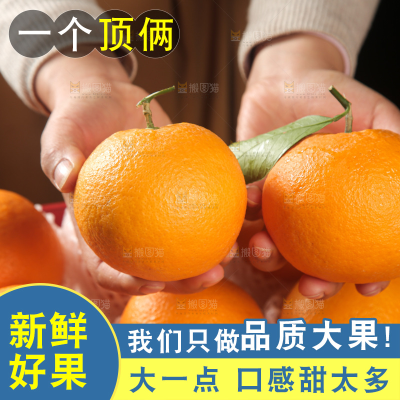 血橙