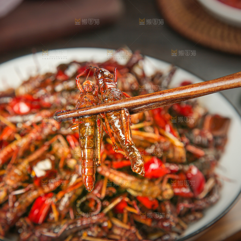 油炸蚂蚱