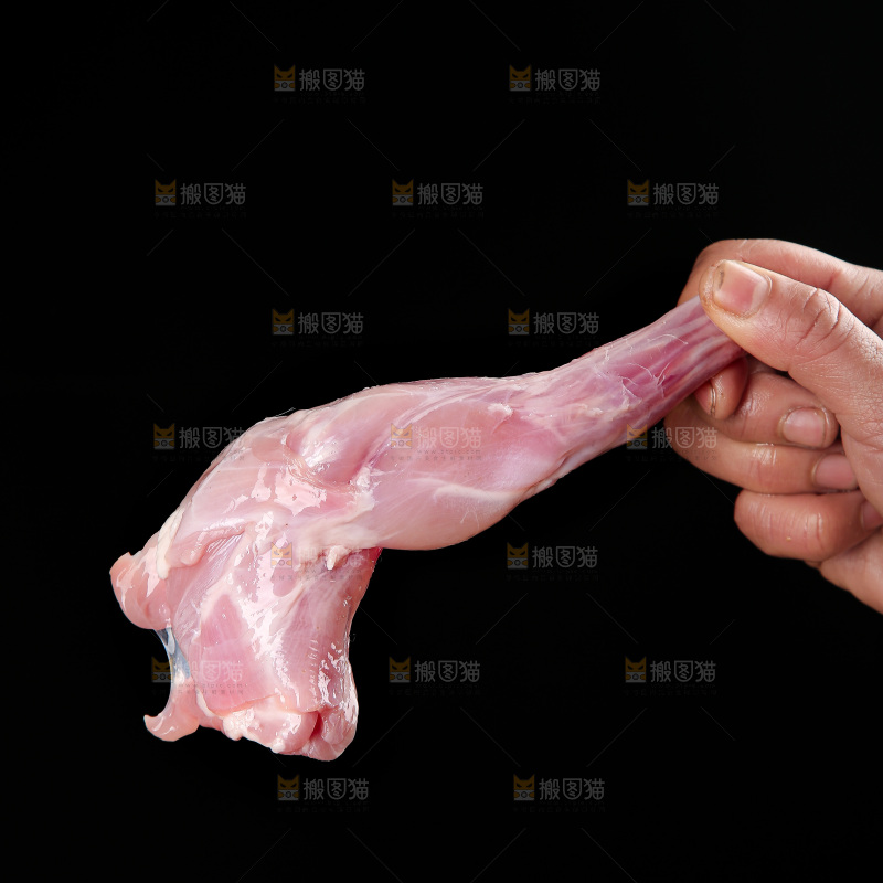 兔前腿
