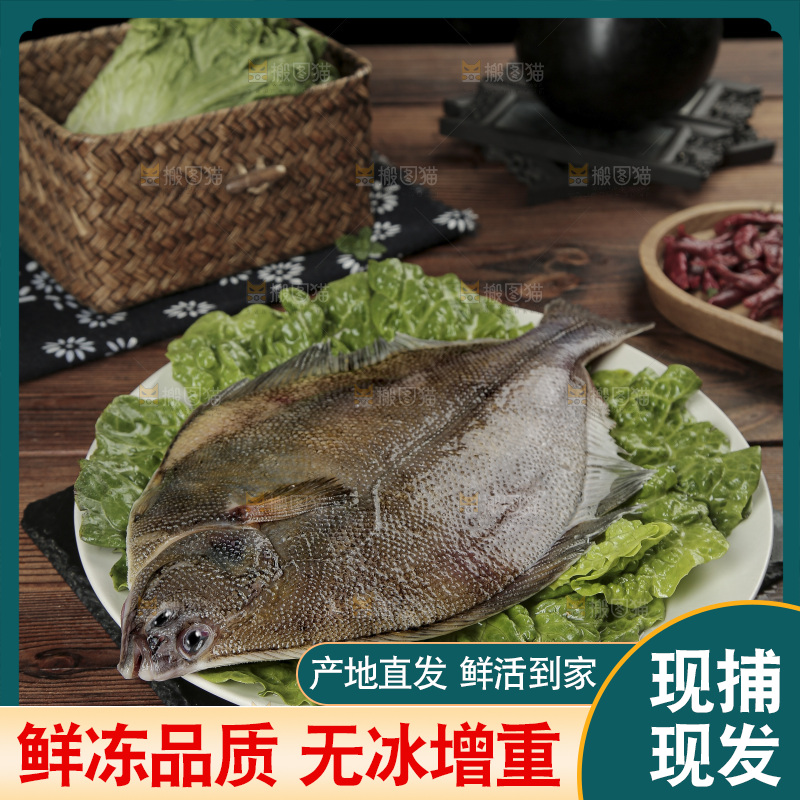 鲽鱼