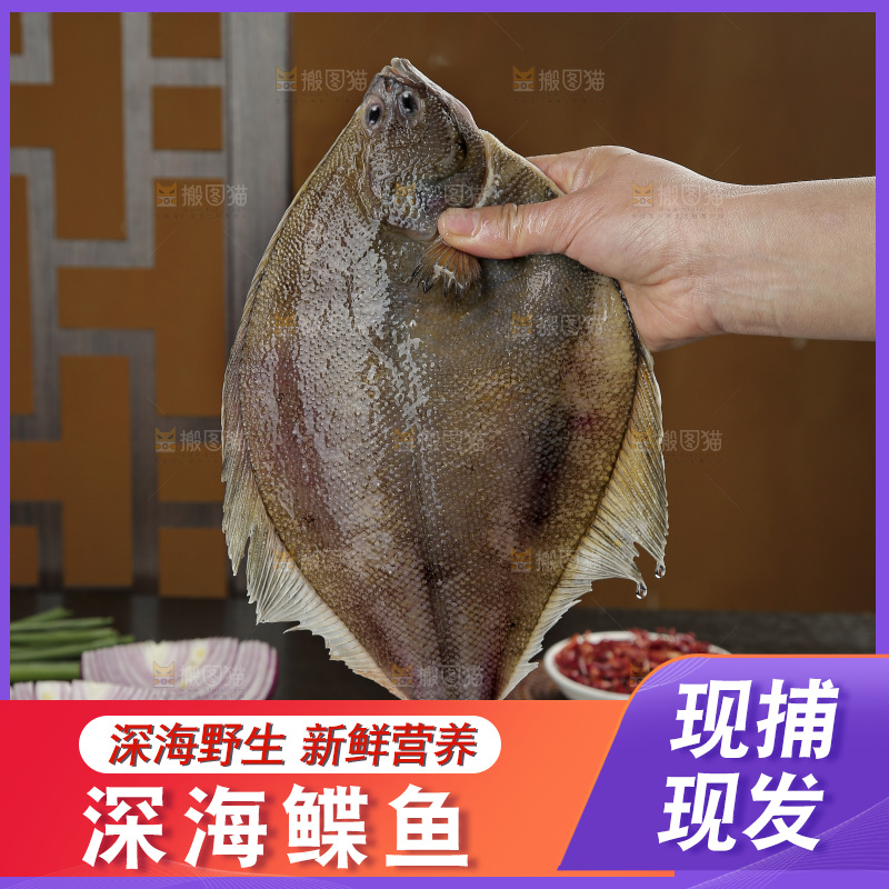 鲽鱼