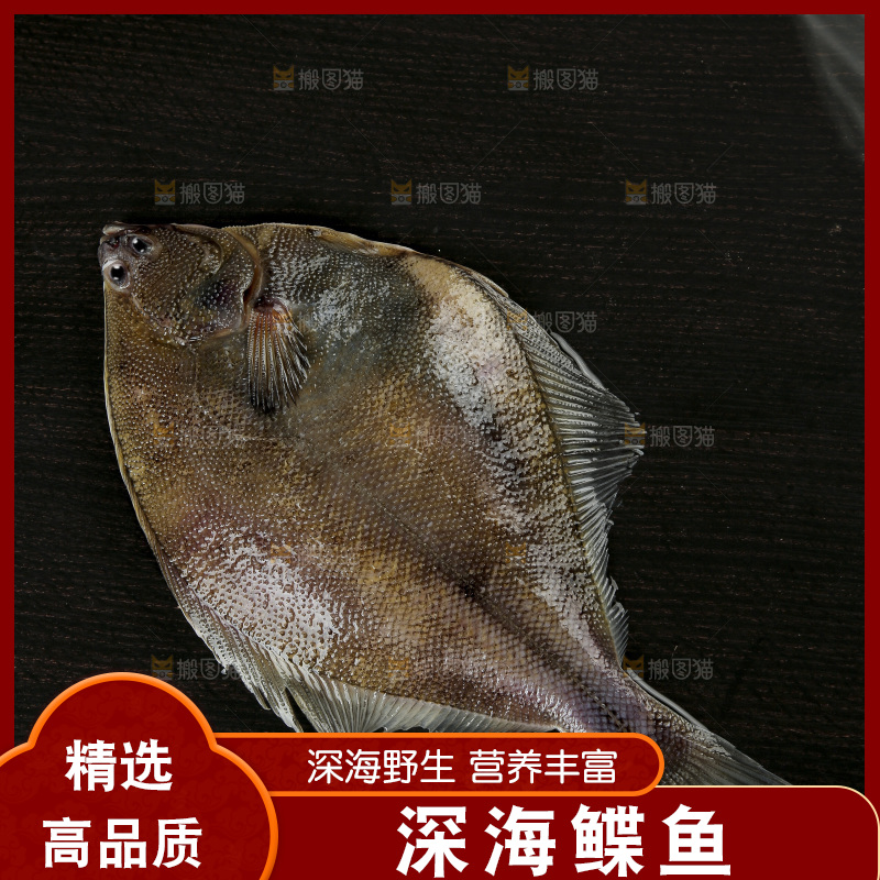 鲽鱼