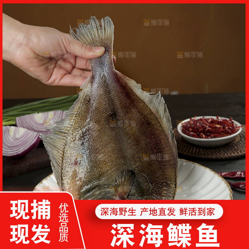 鲽鱼