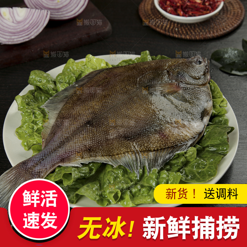 鲽鱼
