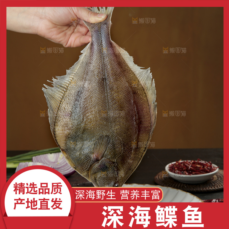 鲽鱼