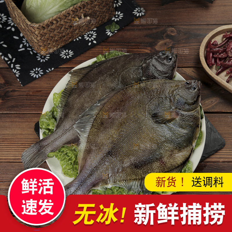 鲽鱼