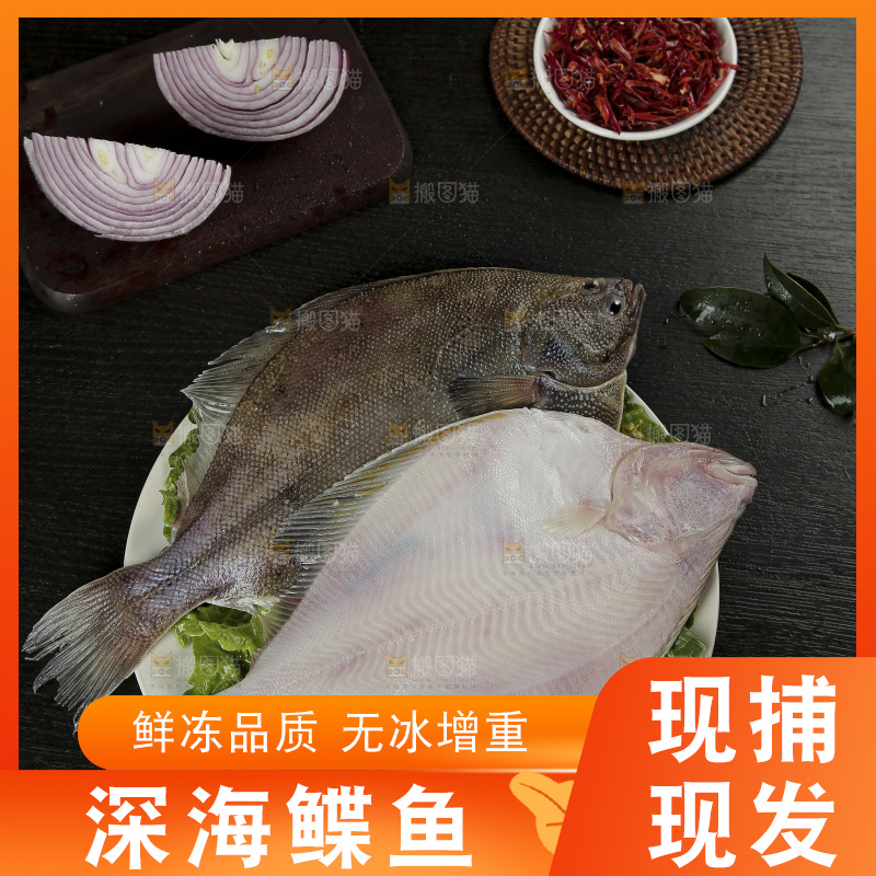鲽鱼
