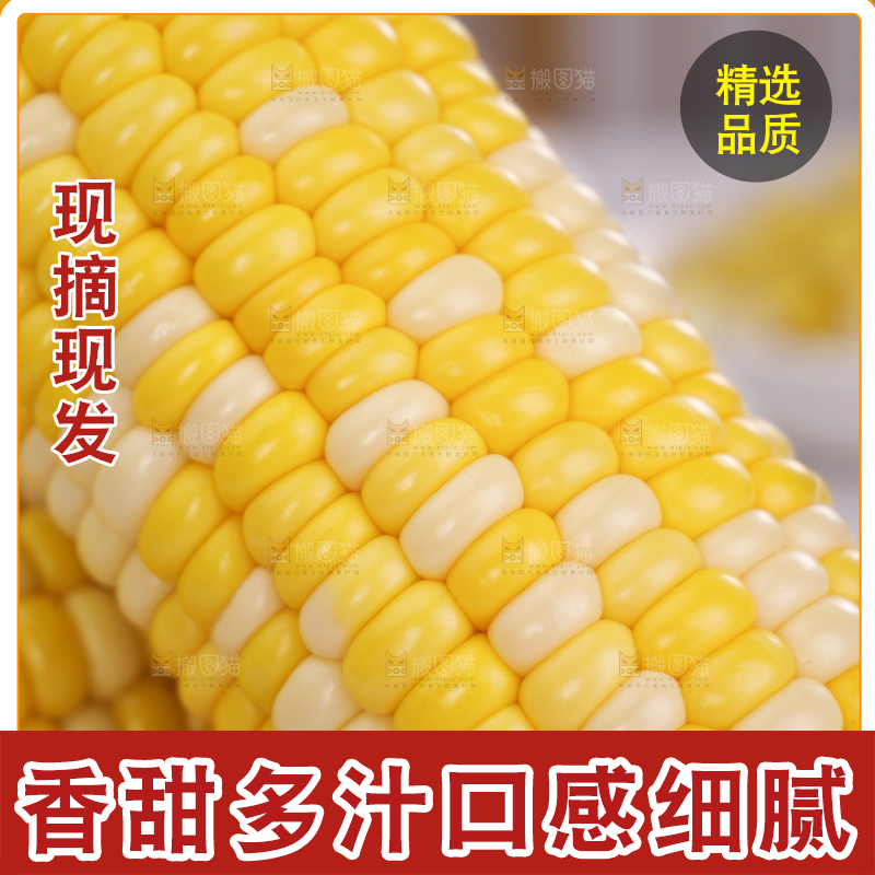 水果玉米