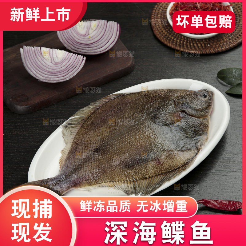 鲽鱼
