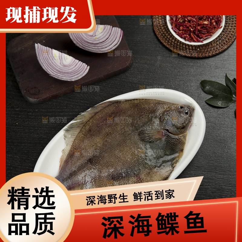 鲽鱼