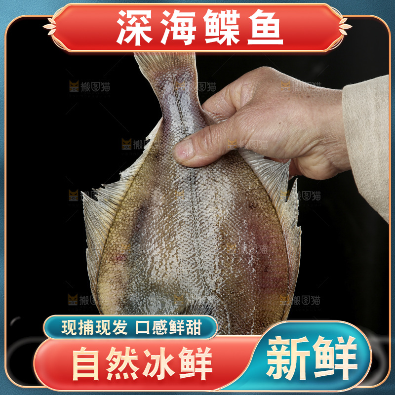 鲽鱼