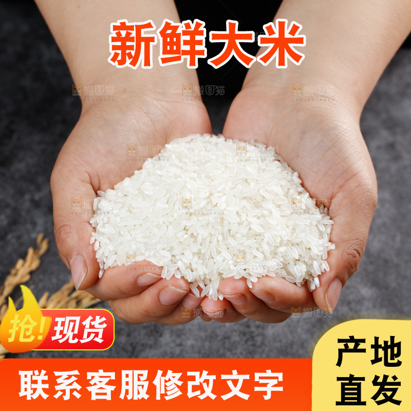 大米
