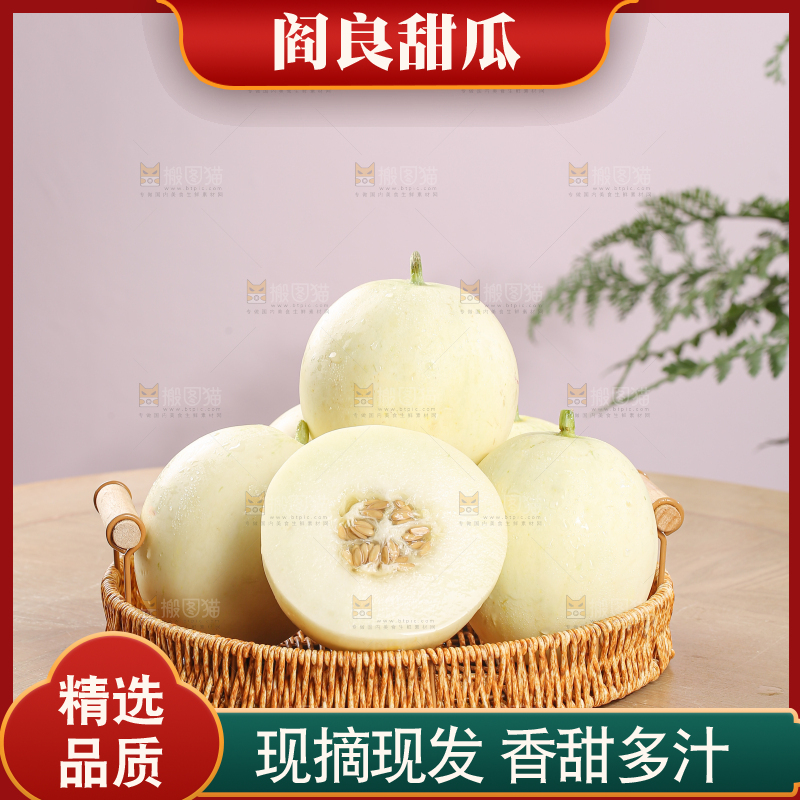 阎良甜瓜