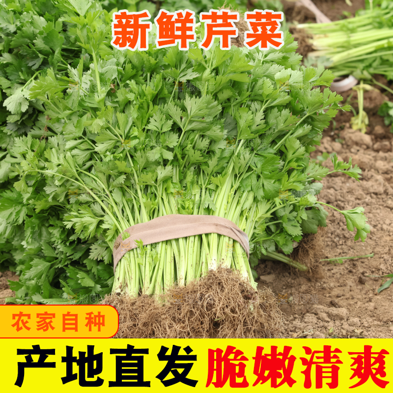 芹菜