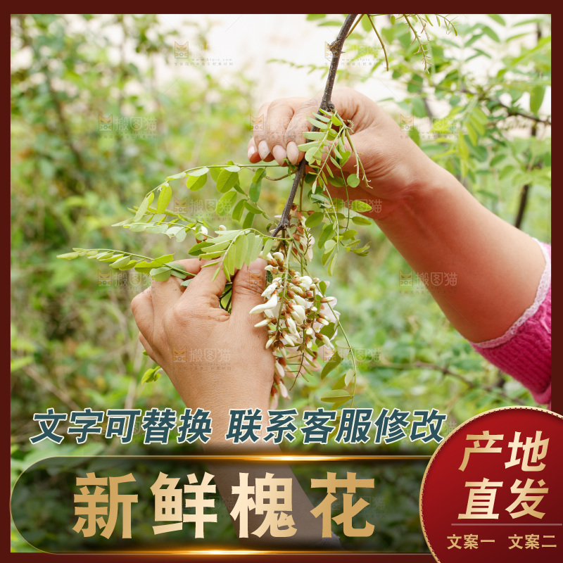 槐花