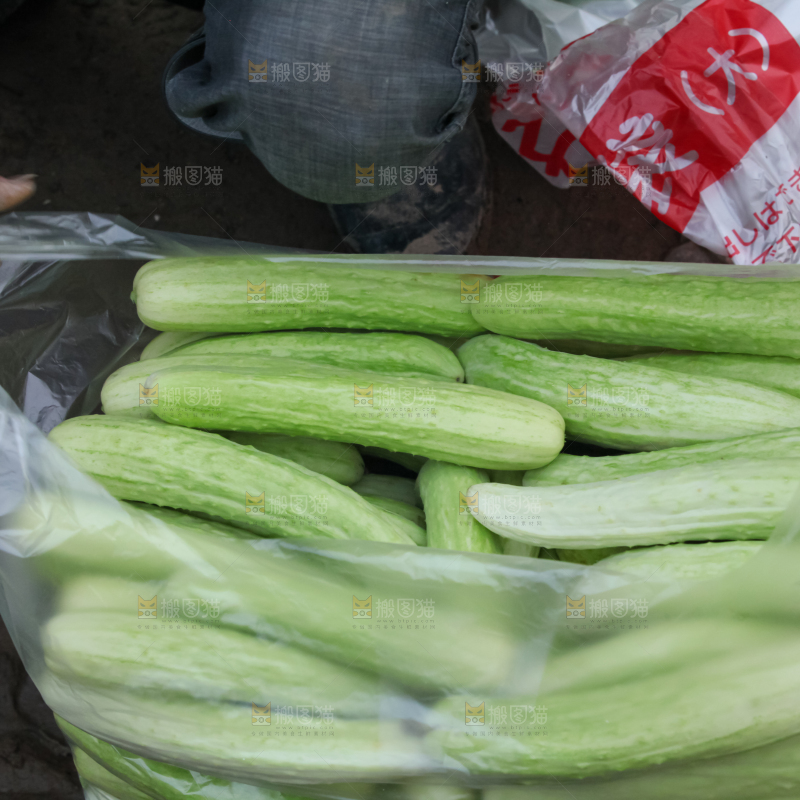 白玉黄瓜