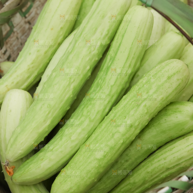 白玉黄瓜