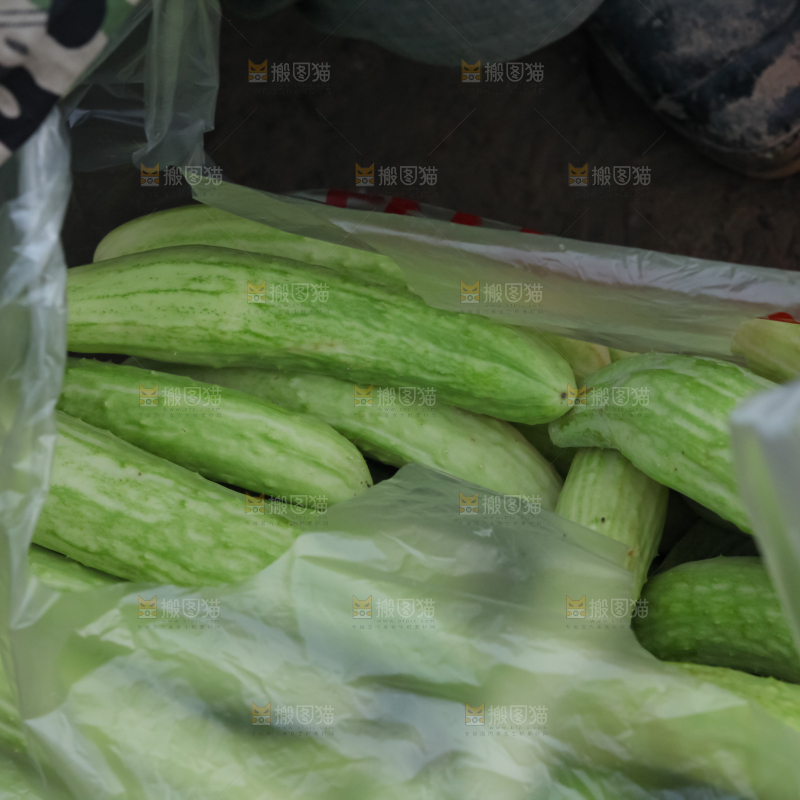 白玉黄瓜