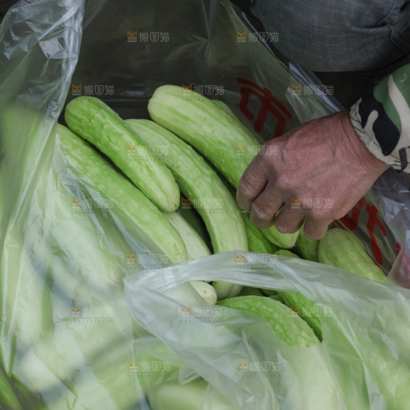 白玉黄瓜